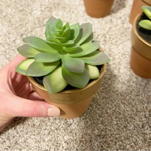 Set of 3 terracotta faux succulents new - Picture 3 of 12